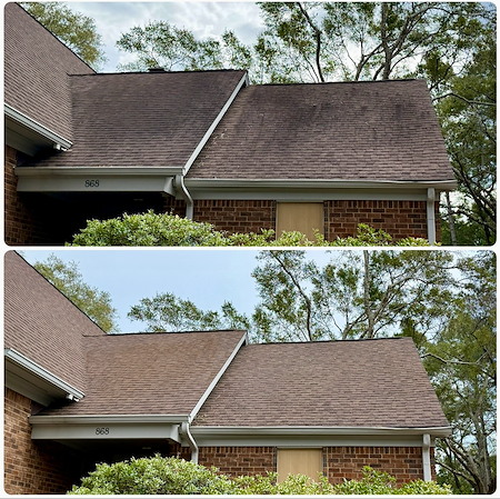 Roof cleaning in the lowcountry what causes black streaks and how to remove them safely