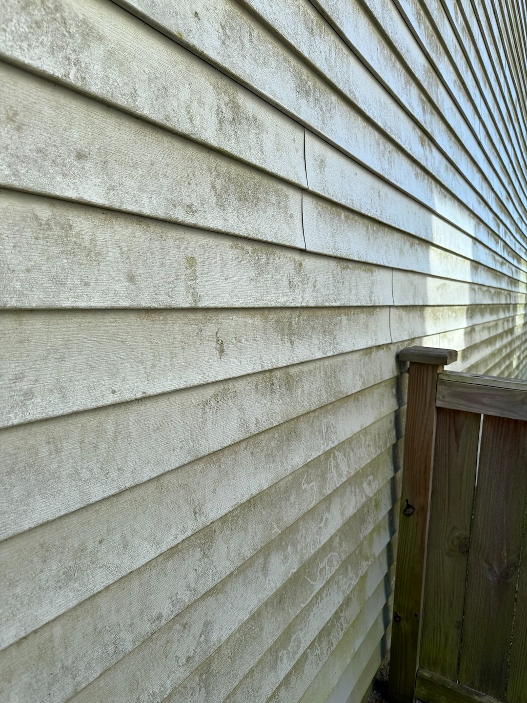 Top Quality Soft Washing performed in Johns Island, SC (2) Image