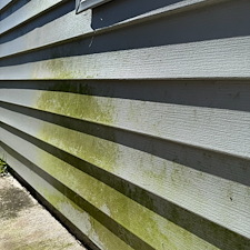 Top-Quality-Soft-Washing-performed-in-Johns-Island-SC-2 3